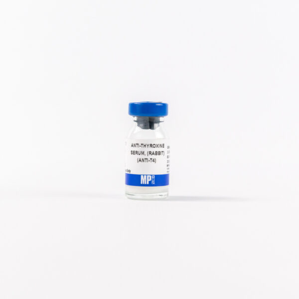 Rabbit anti-thyroxine-BSA antiserum