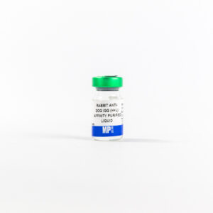Rabbit anti-dog IgG (H+L) antibody