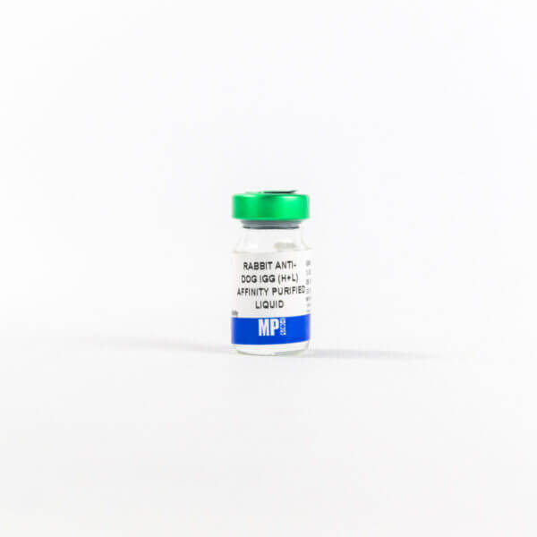 Rabbit anti-dog IgG (H+L) antibody