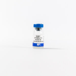 Anti-mouse IgG (whole molecule) rabbit antiserum