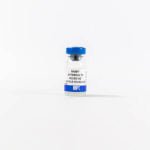 Anti-mouse IgG (whole molecule) rabbit antiserum