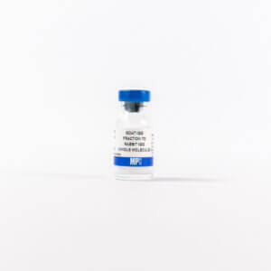 Anti-rabbit IgG (whole molecule) goat IgG fraction