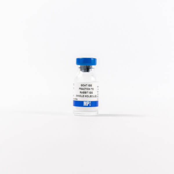 Anti-rabbit IgG (whole molecule) goat IgG fraction