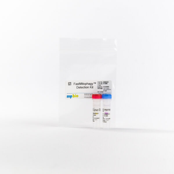 FastMitophagy Detection Kit
