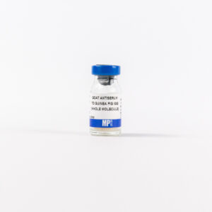 Goat Anti-Guinea Pig IgG (H&L)