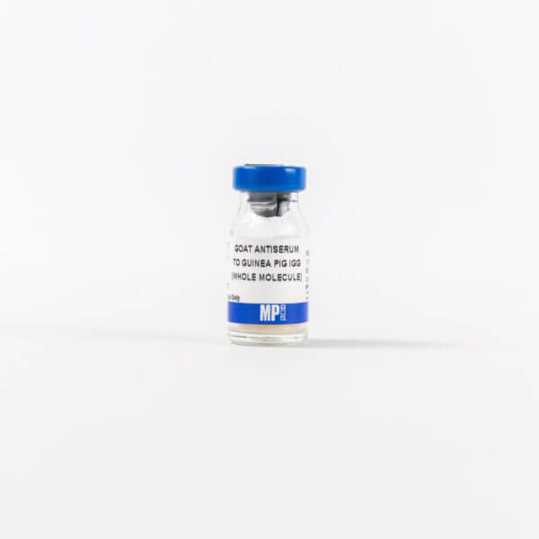 Goat Anti-Guinea Pig IgG (H&L)