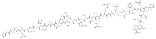 Glucagon