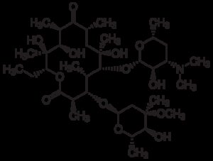 Erythromycin