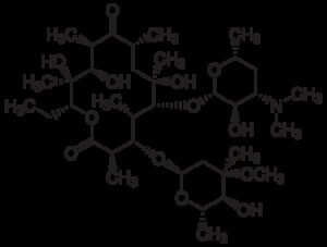 Erythromycin