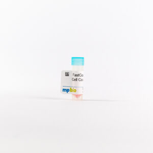 FastCounting Cell Counting Kit