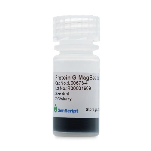 Protein G MagBeads MX