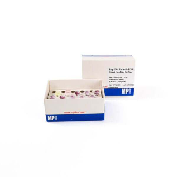 Taq DNA polymerase (5 U/uL), direct loading