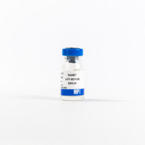 Rabbit antiserum to bovine serum