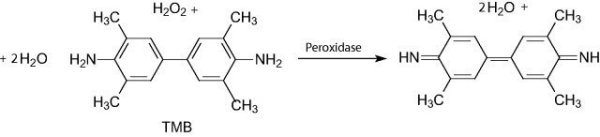 3,3',5,5'-Tetramethylbenzide Liquid Substrate