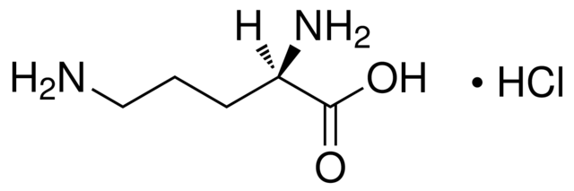 D-Ornithine hydrochloride