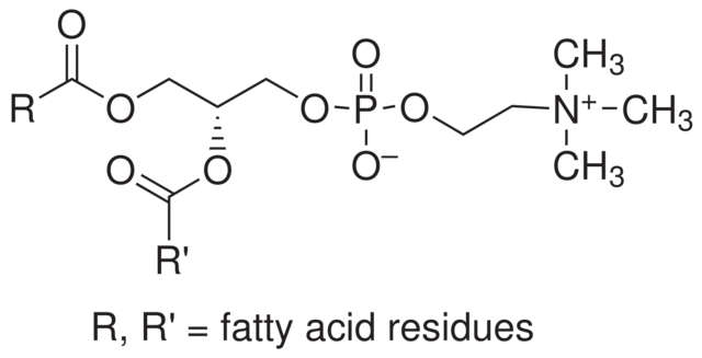 Lecithin from soybean