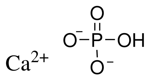 Calcium phosphate dibasic