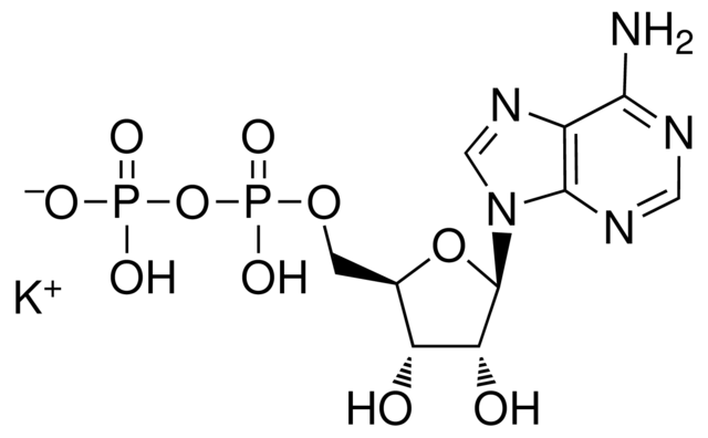 Adenosine-5'-diphosphate, monopotassium salt, dihydrate