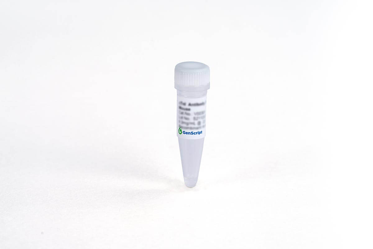 Cardiac Troponin T (cTnT) Antibody (4B6H2), mAb, Mouse