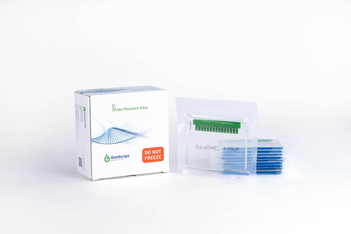 SurePAGE™, Bis-Tris, 10x8, 10%, 12 wells