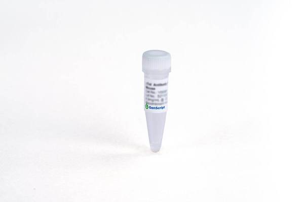 CA72-4 Antibody (44E48), mAb, Mouse