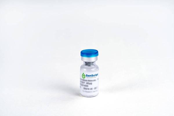 Anti-Semaglutide Antibody (M1HC), Human Chimeric