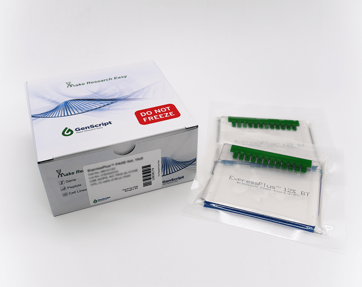 ExpressPlus™ PAGE Gel, 10x8, 4-12%, 12 wells