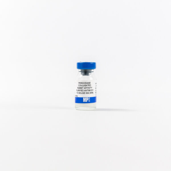 Anti-mouse IgG (whole molecule) affinity-purified rabbit ant
