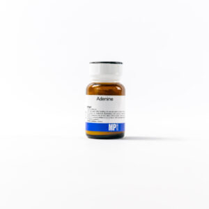 Adenine (powder)