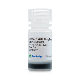 Protein A/G Magbeads MX