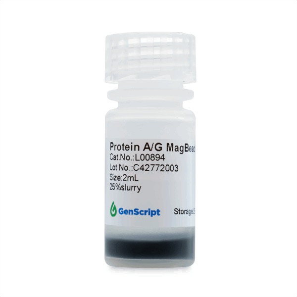 Protein A/G Magbeads MX