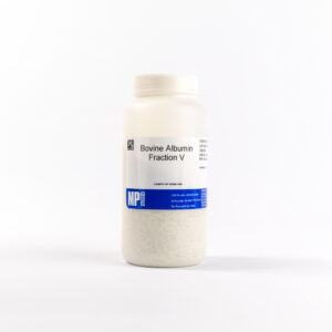 Bovine Albumin, Fraction V