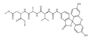 FITC-Val-Ala-Asp(OMe)-FMK