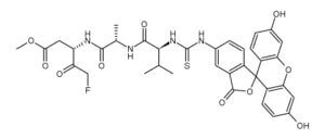 FITC-Val-Ala-Asp(OMe)-FMK