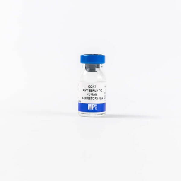 Goat Antiserum to Human Secretory IGA
