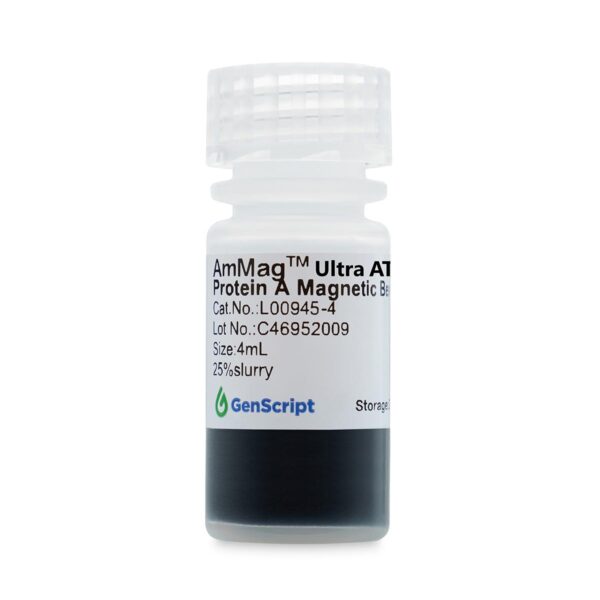 AmMag™ Ultra AT protein A magbeads