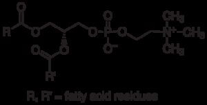 Lecithin from soybean