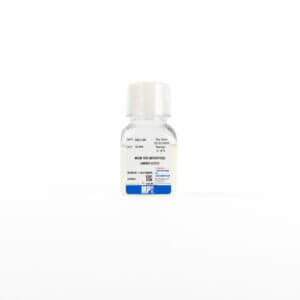 MEM Amino Acids (50X) w/o L-glutamine