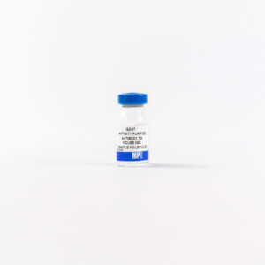 Affinity Purified Goat Anti-Mouse IgG (H&L)