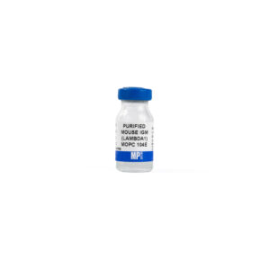 IgM (Lambda1) MOPC 104E, mouse myeloma, purified