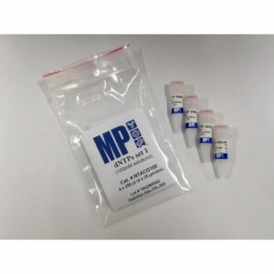 dNTP set (100 mM each)