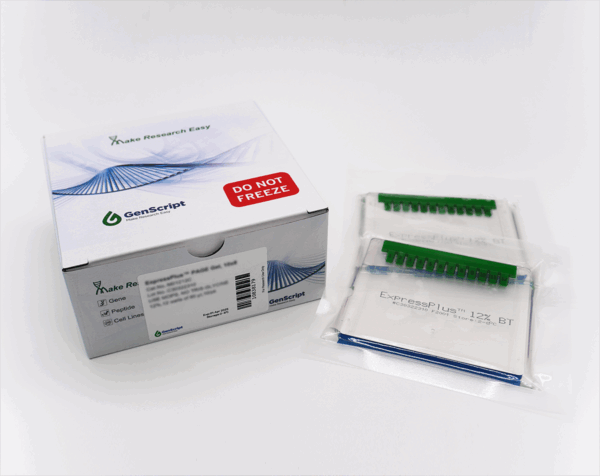 ExpressPlus™ PAGE Gel, 10x8, 4-20%, 10 wells