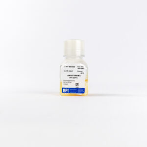Amphotericin B (250 ug/ml)