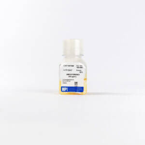 Amphotericin B (250 ug/ml)