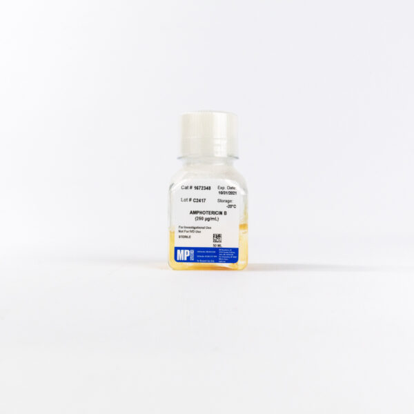 Amphotericin B (250 ug/ml)