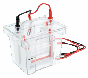 GenBox Mini Electrophoresis tank