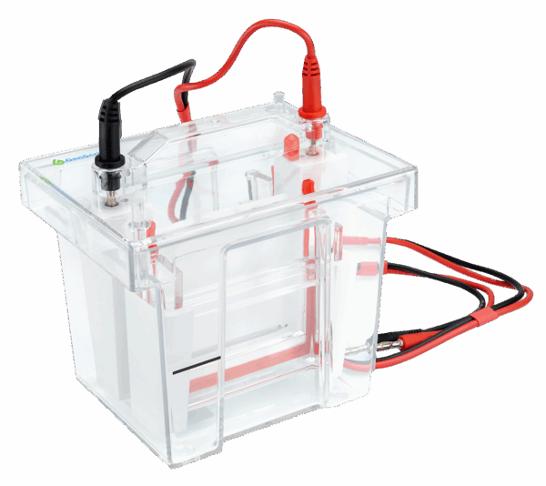 GenBox Mini Electrophoresis tank