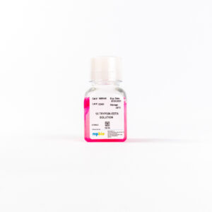 0.05% Trypsin-EDTA (1X)