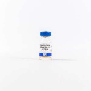 Horseradish Peroxidase-Conjugated Avidin