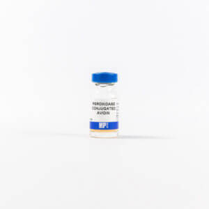Horseradish Peroxidase-Conjugated Avidin